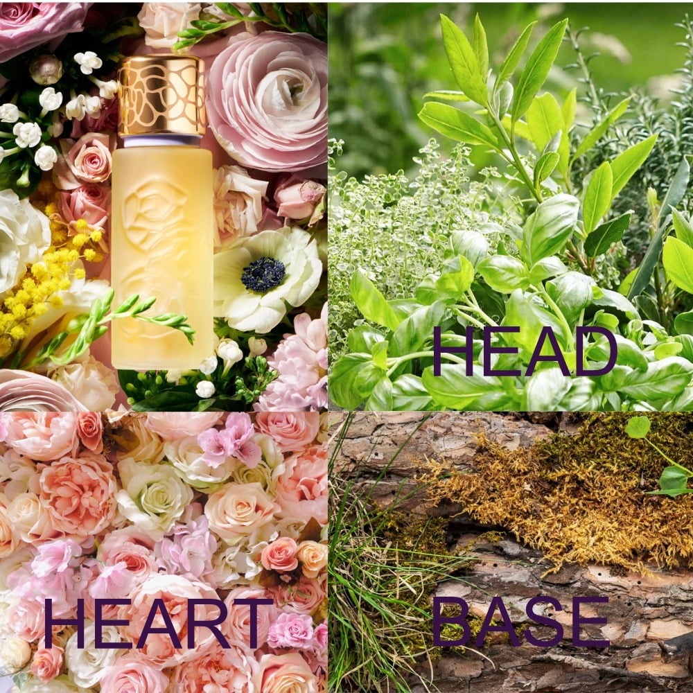 Houbigant Quelques Fleurs L'オリジナルの香りサンプル Houbigant Quelques Fleurs L'オリジナルの香りサンプル
